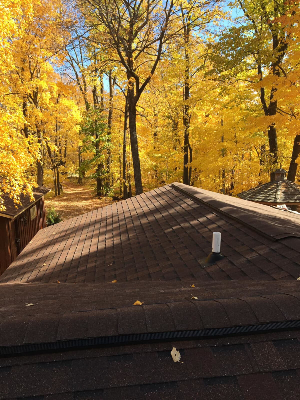 Asphalt roof replacement completed on home surrounded by trees with brown shingles